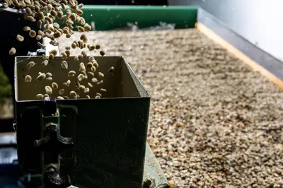 a black container filled with seeds on a counter at Finca Rosa Blanca Coffee Farm and Inn in Heredia