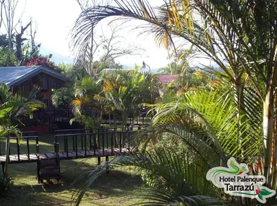 a wooden bridge in the middle of a garden at Hotel Palenque Tarrazu in San Marcos