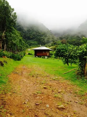 a dirt road leading to a house in a field at Lemon House Monteverde in Monteverde Costa Rica
