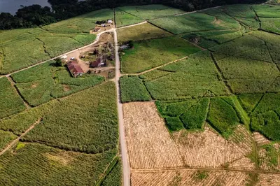 an aerial view of a field with a road at Hotel Villa Florencia in Turrialba