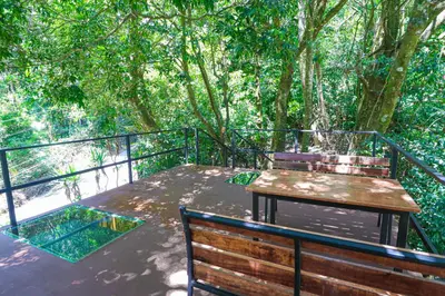 a table and two benches on a balcony with trees at La Casa de la Montaña in Monteverde Costa Rica