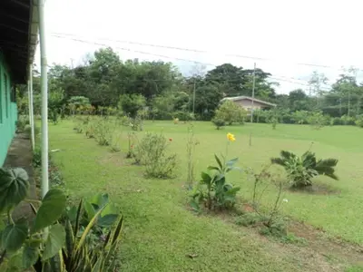 a garden with flowers and plants in a field at Posada Rural Oasis in Caño Negro