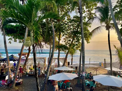 a beach with palm trees and people sitting under umbrellas at Vida Hermosa in Playa Hermosa
