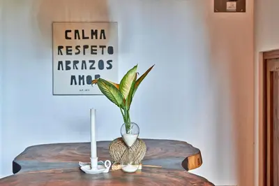 a table with a vase with a plant on it at Casa Calocita in Santa Teresa Beach