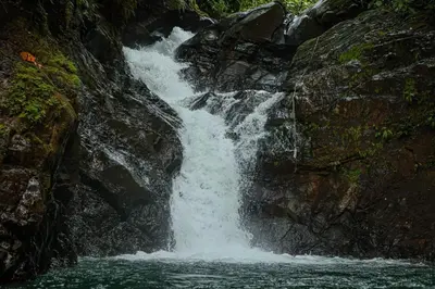 a waterfall on the side of a rocky cliff at Santa Juana Lodge & Nature Reserve in Quepos