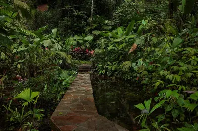 a path in the middle of a garden at Santa Juana Lodge & Nature Reserve in Quepos