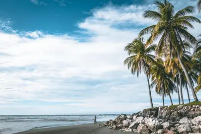 two palm trees on a beach with the ocean at Samara Palm Lodge in Sámara