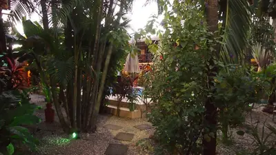 a garden with a bunch of trees and plants at Samara Palm Lodge in Sámara
