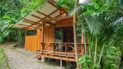 a small wooden house in the middle of a forest at Cabañas del Lago in Fortuna