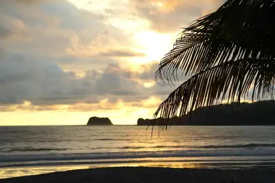 a beach with a palm tree and the ocean at Villas Welcome to Heaven in Carrillo
