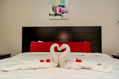 two swans making a heart shape on a bed at Hotel Los Rios in Guácimo