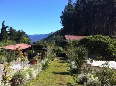 a garden with plants in front of a house at La Cima del Mundo in Chimirol