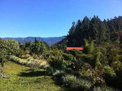 a view of a garden with trees and bushes at La Cima del Mundo in Chimirol