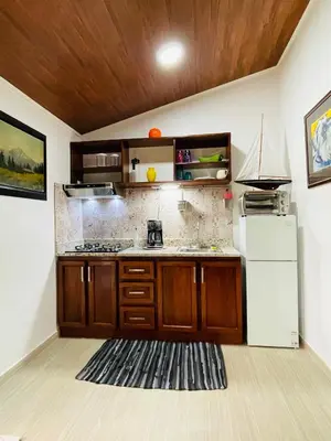 a kitchen with wooden cabinets and a white refrigerator at Casa Donna Rosa B&B in Nuevo Arenal