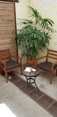 two chairs and a table next to a plant at Hostel Dodero in Liberia
