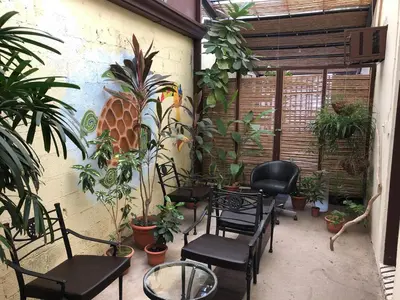 a patio with chairs and plants in a room at Hostel Dodero in Liberia