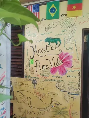 a wall with drawings on it with the words hostel jungle at Hostel Pura Vida en Liberia in Liberia