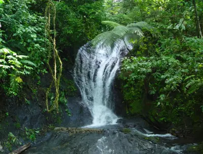 a waterfall in the middle of a jungle at Light of Dawn in Quepos