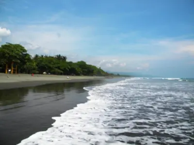 a view of a beach with trees and the ocean at Light of Dawn in Quepos