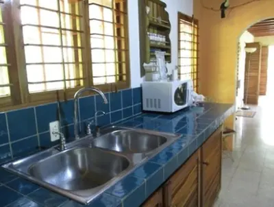 a kitchen with a sink and a microwave on the counter at Light of Dawn in Quepos