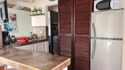 a kitchen with a refrigerator and a wooden wall at El Encanto Condominiums in Jacó