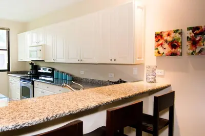 a kitchen with white cabinets and a granite counter top at Colorful 3-BD Unit Opening on Pool in Coco