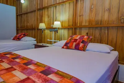 two beds in a room with wooden walls at Hotel Volcan Verde in Fortuna