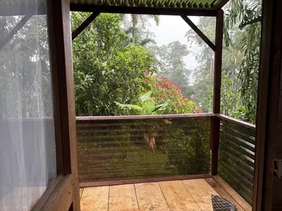 a screened in porch with a view of a garden at Bella Vista Ranch Ecolodge in Turrialba