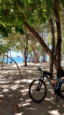 a bike parked under a tree next to the beach at Las Catalinas Loft - for up to 4 people just steps from the beach in Playa Danta