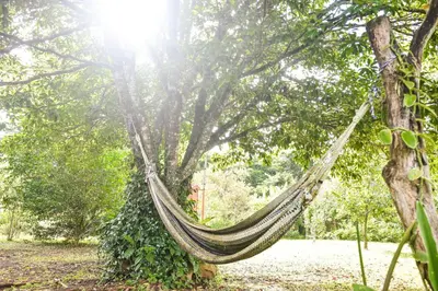 a hammock hanging from a tree in a park at Casa Cora Bed and Breakfast in Colonia Carmona