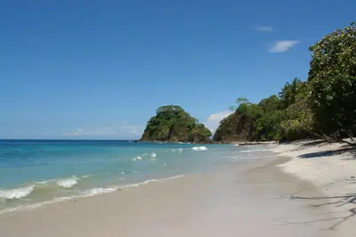 a sandy beach with trees and the ocean at Punta Leona Beach Condos in Jacó