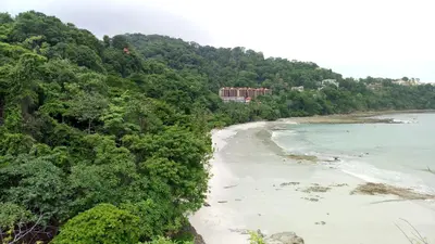 an aerial view of a beach with trees at Punta Leona Beach Condos in Jacó