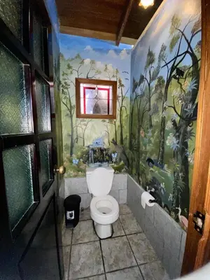 a bathroom with a toilet with a painting on the wall at Mirador House Cozy & Private Home W Volcano View in El Castillo de la Fortuna