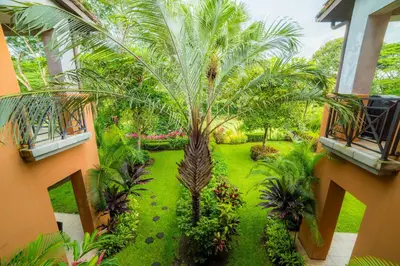 an aerial view of a garden with a palm tree at Veranda 2B 3 bdr Golf Course View in Los Suenos in Herradura