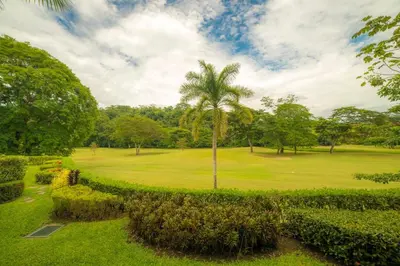 a golf course with a palm tree in a park at Veranda 8F 2 bdr Garden View in Los Suenos in Herradura