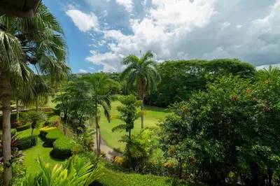 a view of a garden with palm trees and bushes at Veranda 4B 3 bdr Golf Course View in Los Suenos in Herradura