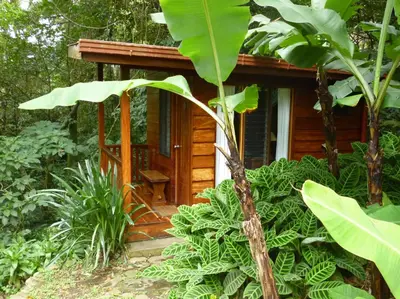 a small wooden cabin in the middle of a forest at Arco Iris Lodge in Monteverde Costa Rica