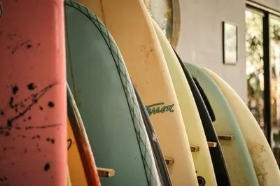 a row of surfboards lined up next to each other at Zeneidas Surf Garden in Santa Teresa Beach