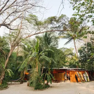 Zeneidas Surf Garden