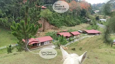 a horse is standing in front of a house at Finca Tres Equis - Farm and Forest in Tres Equis