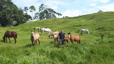 a man standing in a field with horses on a hill at Finca Tres Equis - Farm and Forest in Tres Equis