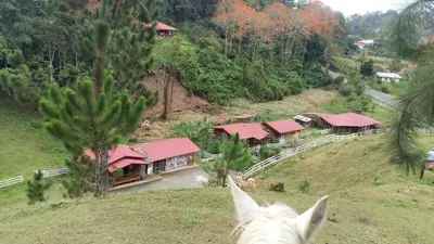 a horse is standing in front of a house at Finca Tres Equis - Farm and Forest in Tres Equis