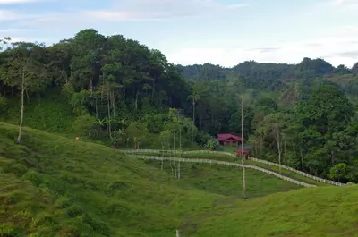 a winding road on the side of a green hill at Finca Tres Equis - Farm and Forest in Tres Equis