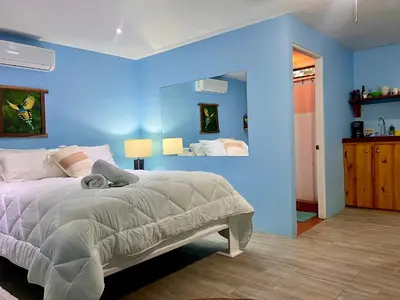 a blue bedroom with a bed and a blue wall at Peace of Paradise Breakfast Included Free Manuel Antonio Park Tour in Manuel Antonio