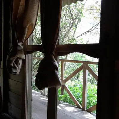 an open window with a view of a tree at Corredores del Pacuare in La Suiza