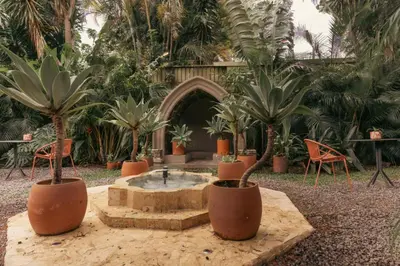 a courtyard with a fountain with palm trees and chairs at awā San José in San José