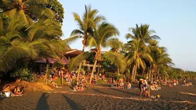 a group of people on a beach with palm trees at Pacific Jungle Condominium in Playa Hermosa