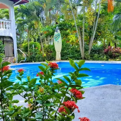 Pacific Jungle Condominium