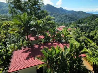 a house with a red roof and palm trees at Nature's Edge Boutique Hotel in Uvita