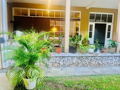 a bunch of potted plants sitting outside of a house at Ester`s Place in Escazu